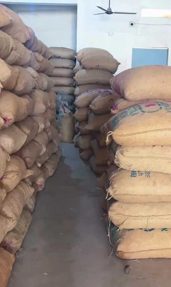 हमारे गोदाम की गली में सुपारी की बोरियों के ढेर